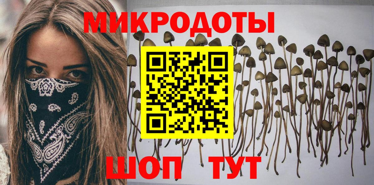 Псилоцибиновые грибы мицелий  купить наркотик  Кореновск  Вход с VPN 